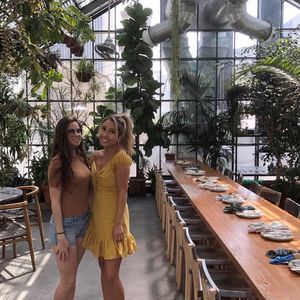 Meet your Posher, Amy rose